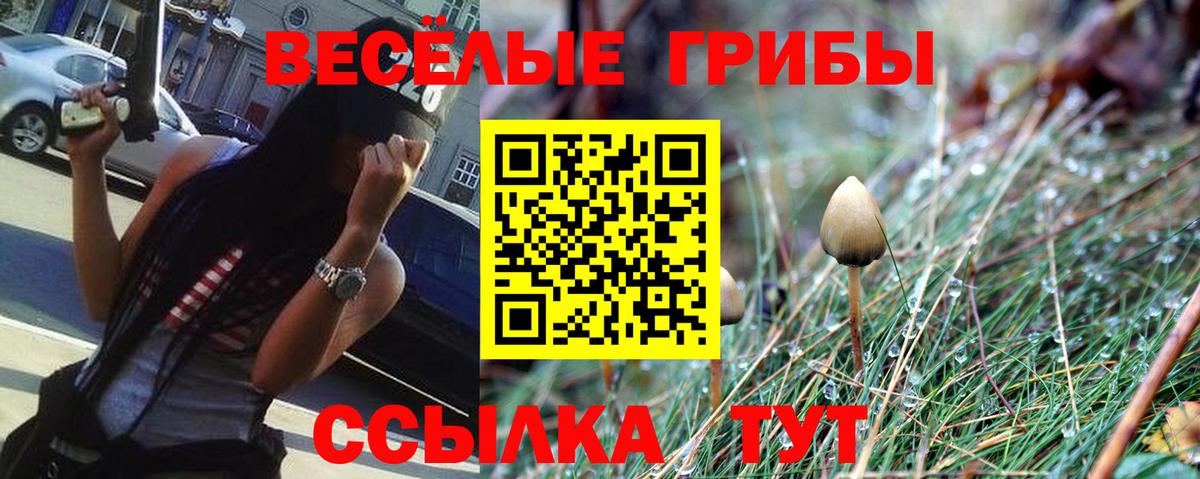 Нерюнгри  Галлюциногенные грибы мицелий  Вход с VPN 