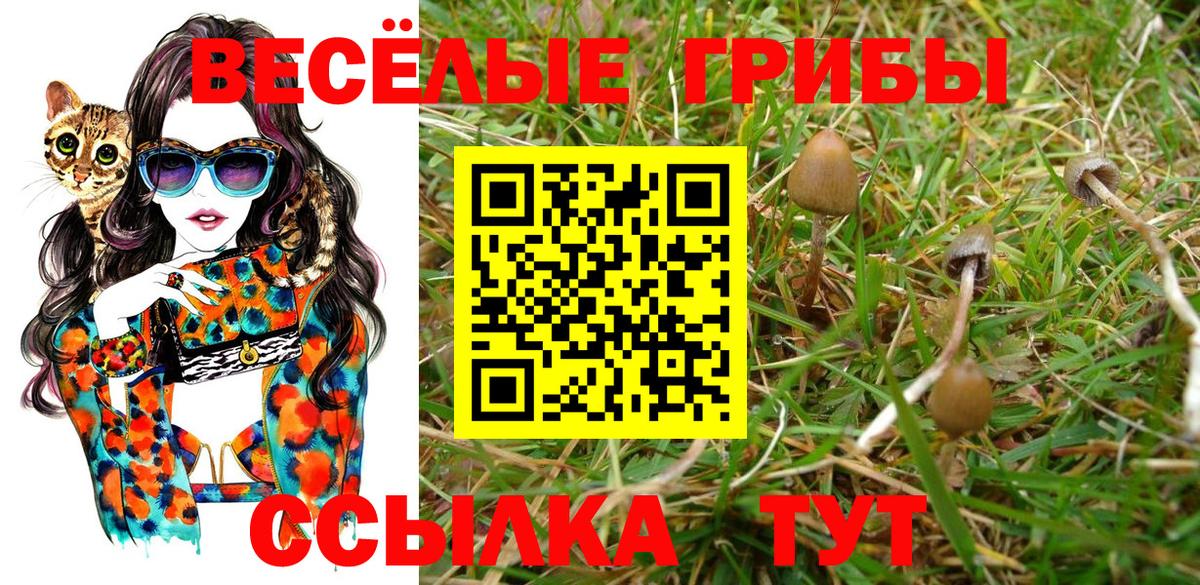 Псилоцибиновые грибы Magic Shrooms Нерюнгри